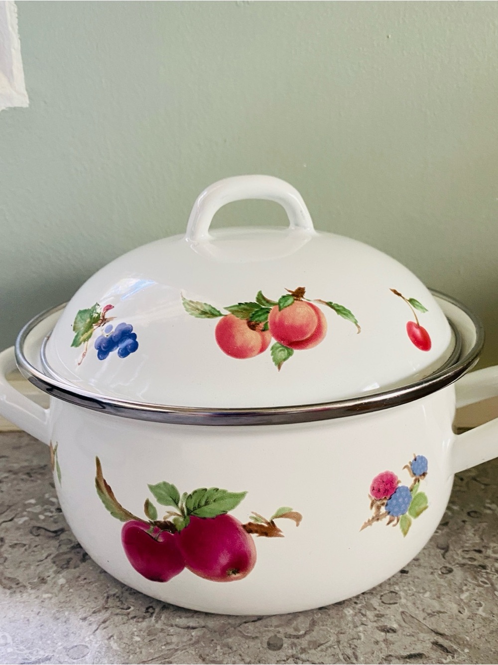 Enamelware lidded pot fruit design small Dutch oven cooking pot - Fruit decor
